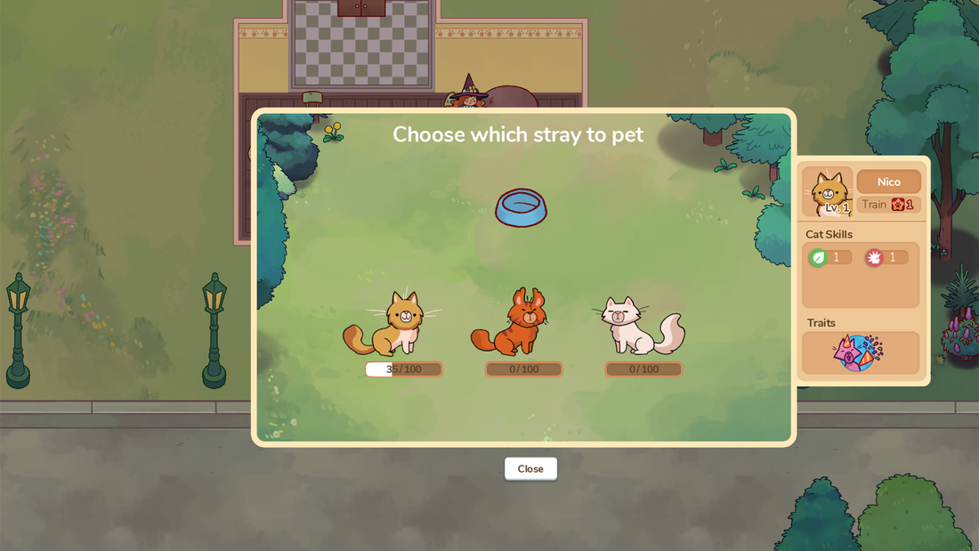 Choose which stray to pet